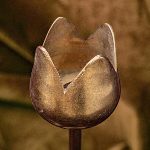 Brass Tulip Candle Holders